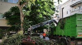 איסוף גזם בתל אביב, צילום: דוברות עיריית תל אביב